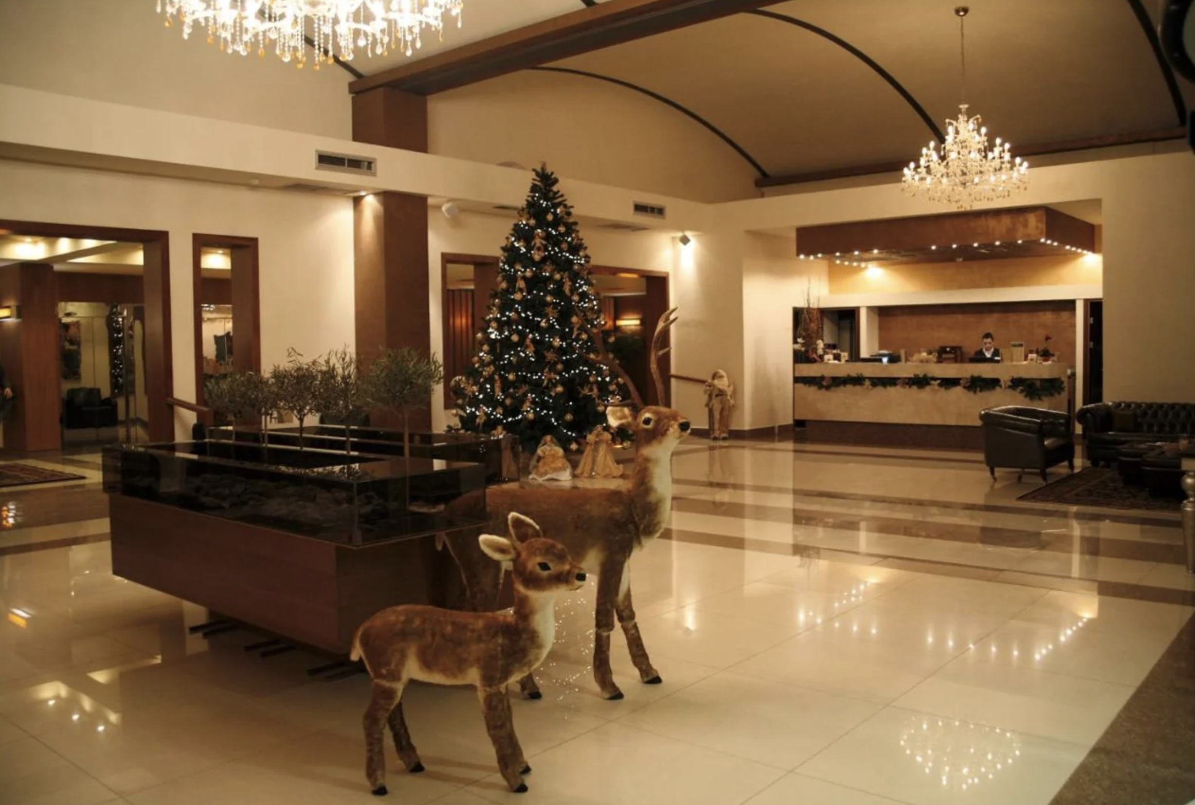 Valis Resort Hotel